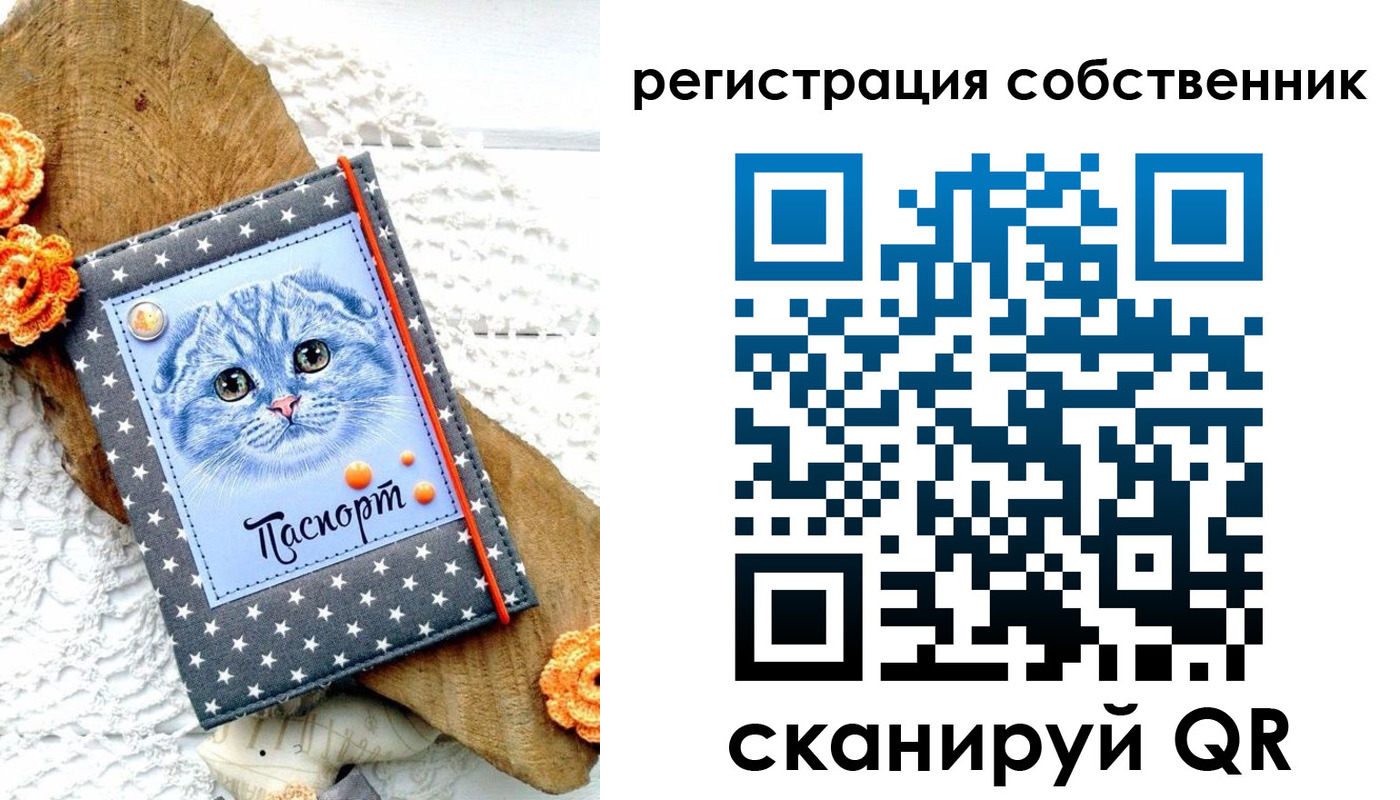прописка для работы в Мурманской области